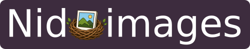 Nidimages banner